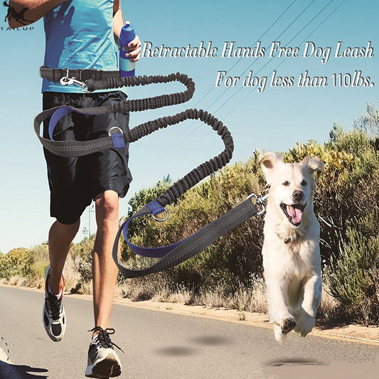 Tierträume - Freihändige Hundeleine zum joggen, mit Doppelten Antischock Bunges